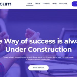 Quicum - Business Multipurpose Classic WordPress Elementor Theme