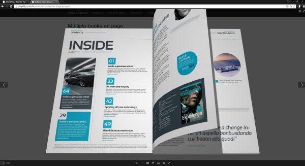 RealD FlipBook WordPress Plugin - Image 1