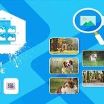 Reverse Image Finder App