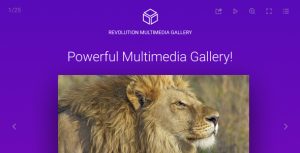 Revolution multimedia gallery gplpixel.jpg
