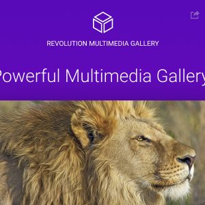 Revolution Multimedia Gallery Wordpress Plugin