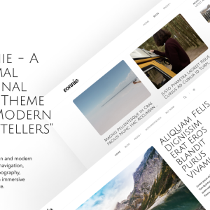 Ronnie - Personal Blog Wordpress Theme
