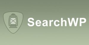 Searchwp co authors plus integration v120 gplpixel.jpg
