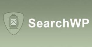 Searchwp diagnostics v152 gplpixel.jpg