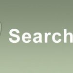 SearchWP WPML Integration