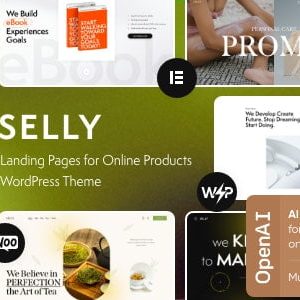 Selly - Marketing Landing Page WordPress Theme