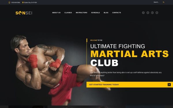 Sensei - Martial Arts WordPress Theme - Image 1