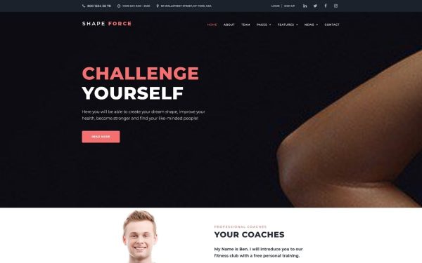 ShapeForce - Sport Studio WordPress Theme - Image 1