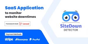 Site down detector website monitoring system saas application codermarket.jpg