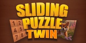 Sliding puzzle twin html5 game gplpixel.jpg