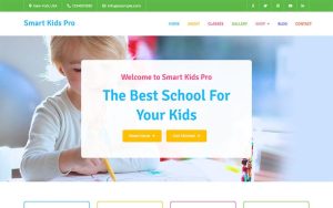 Smart kids pro kindergarten wordpress theme.jpg