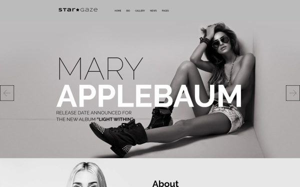 Stargaze - Media & Celebrity Responsive WordPress Theme - Image 1