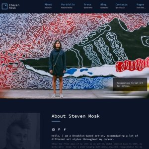 Steven Mosk - Modern artist personal portfolio WordPress Theme