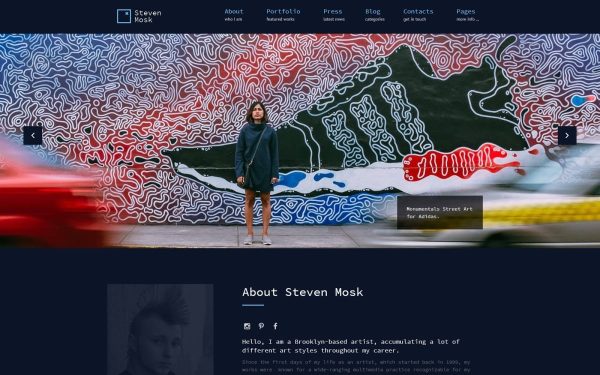 Steven Mosk - Modern artist personal portfolio WordPress Theme - Image 1