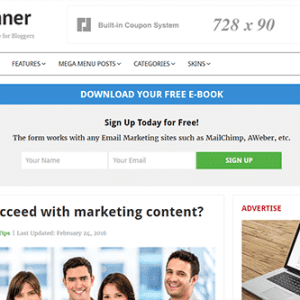 Theme Junkie Beginner WordPress Theme