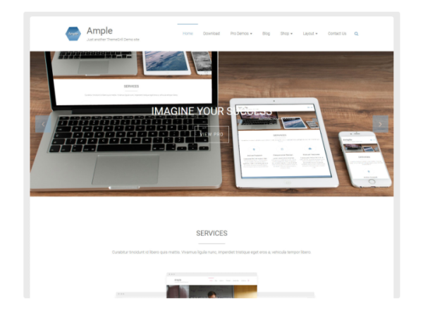 ThemeGrill – Ample Pro - Image 1