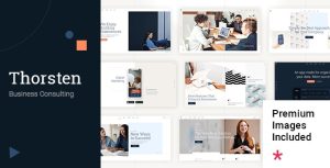 Thorsten business consulting gplpixel.jpg