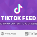 TikTok User Videos Feed for WordPress
