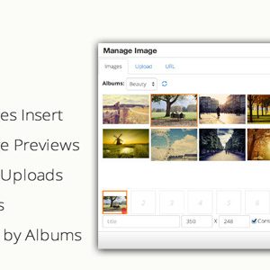 TinyMCE4 Album Image Manager