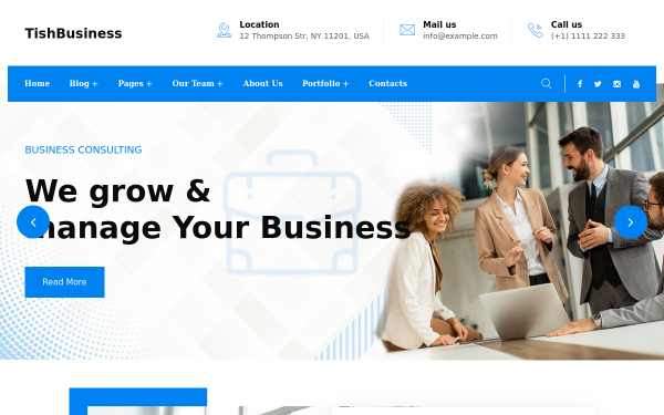 TishBusiness - Corporate and Business WordPress Theme - Image 1