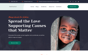 Tishcharity2 charity wordpress theme.png