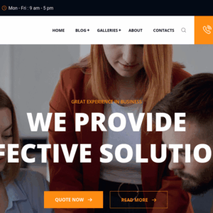 TishConsult2 - Business and Consulting WordPress Theme