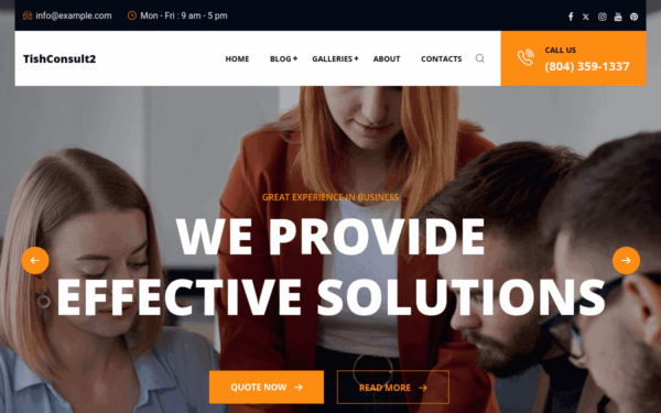 TishConsult2 - Business and Consulting WordPress Theme - Image 1