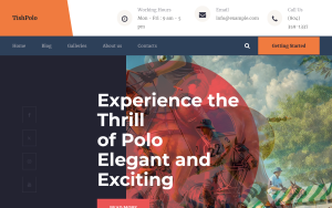 Tishpolo polo wordpress theme.png