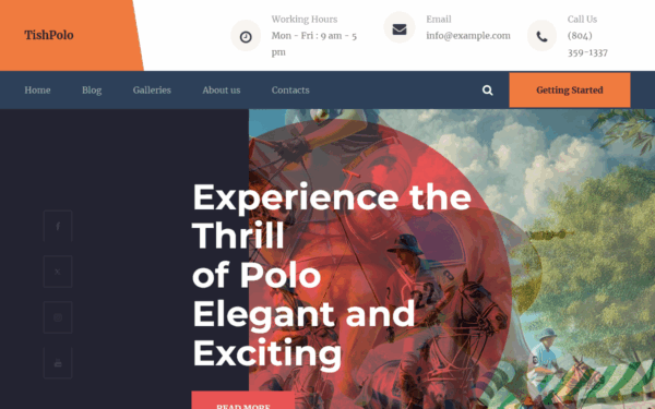 TishPolo - Polo WordPress Theme - Image 1