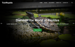 Tishreptile reptile wordpress theme.png