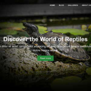 TishReptile - Reptile WordPress Theme