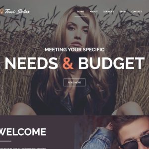 Tomi Solas WordPress Theme