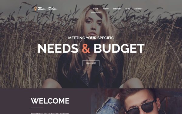 Tomi Solas WordPress Theme - Image 1