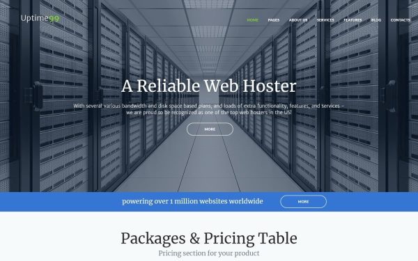 Uptime99 - Web Hosting WordPress Theme - Image 1