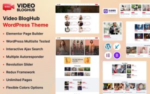 Video bloghub wordpress theme.jpg