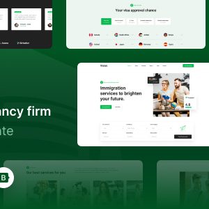 Visian - Immigration and Visa Consulting HTML Template