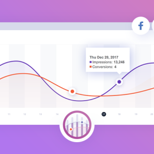 WeDevs WooCommerce Conversion Tracking Pro