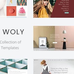Woly - Multipurpose WordPress Theme