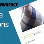 WooCommerce Simple Auctions Wordpress Auctions