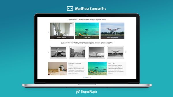 WordPress Carousel Pro - Image 1