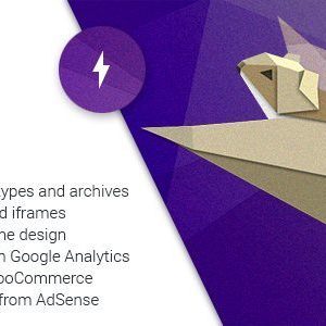 WP AMP Accelerated Mobile Pages for WordPress and WooCommerce