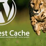 WP Fastest Cache WordPress Plugin