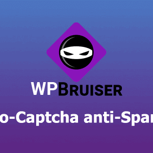 WPBruiserPro