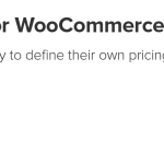 WPDesk – Custom Price for WooCommerce PRO