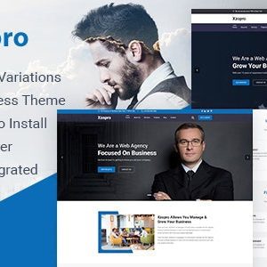 Xzopro - Finance And Business WordPress Theme