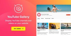 Youtube plugin wordpress youtube gallery v350 nulled gplpixel.jpg