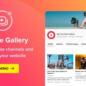 Youtube Plugin - Wordpress Youtube Gallery