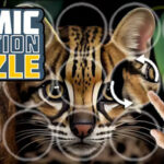 Cosmic Rotation Puzzle - HTML5 & Construct3 - Official Licence