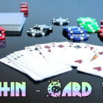 Dolphin - Single Player Card Game - Official Licence