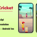 Gully Cricket (HTML5 Game + Construct 3) - Official Licence